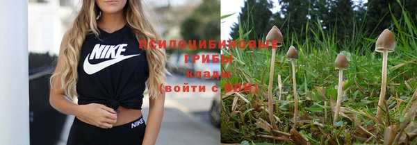мяу мяу кристалл Новодвинск