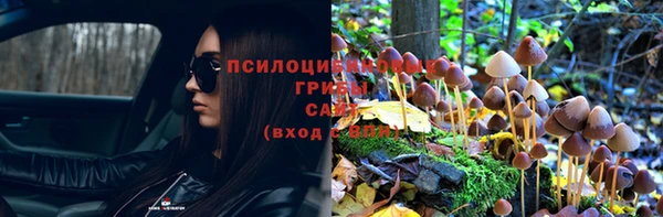 эйфоретик Новозыбков