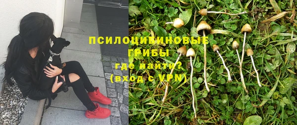 мяу мяу кристалл Новодвинск