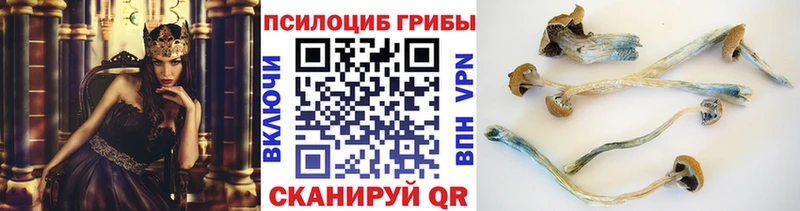 хочу наркоту  Покачи  Псилоцибиновые грибы MAGIC MUSHROOMS 